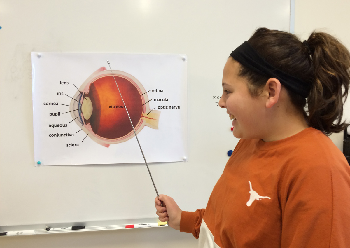 An adolescent uses a pointer to a point to diagram of an eye with parts labeled.