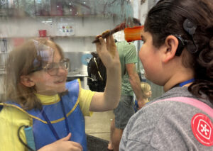 An adolescent paints on plexiglass with a peer on the other side at a children's museum.