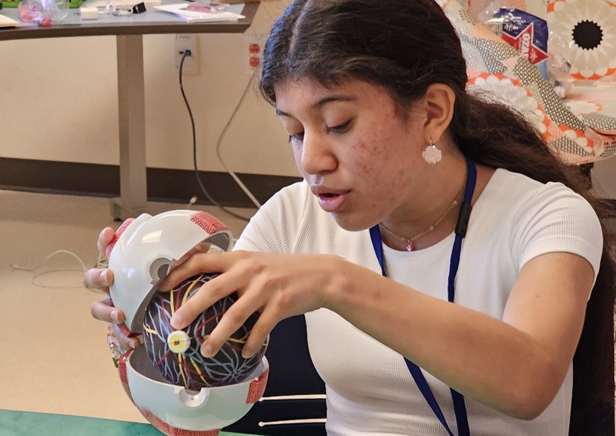 An adolescent explores a 3D model of an eye with parts that can be manipulated.