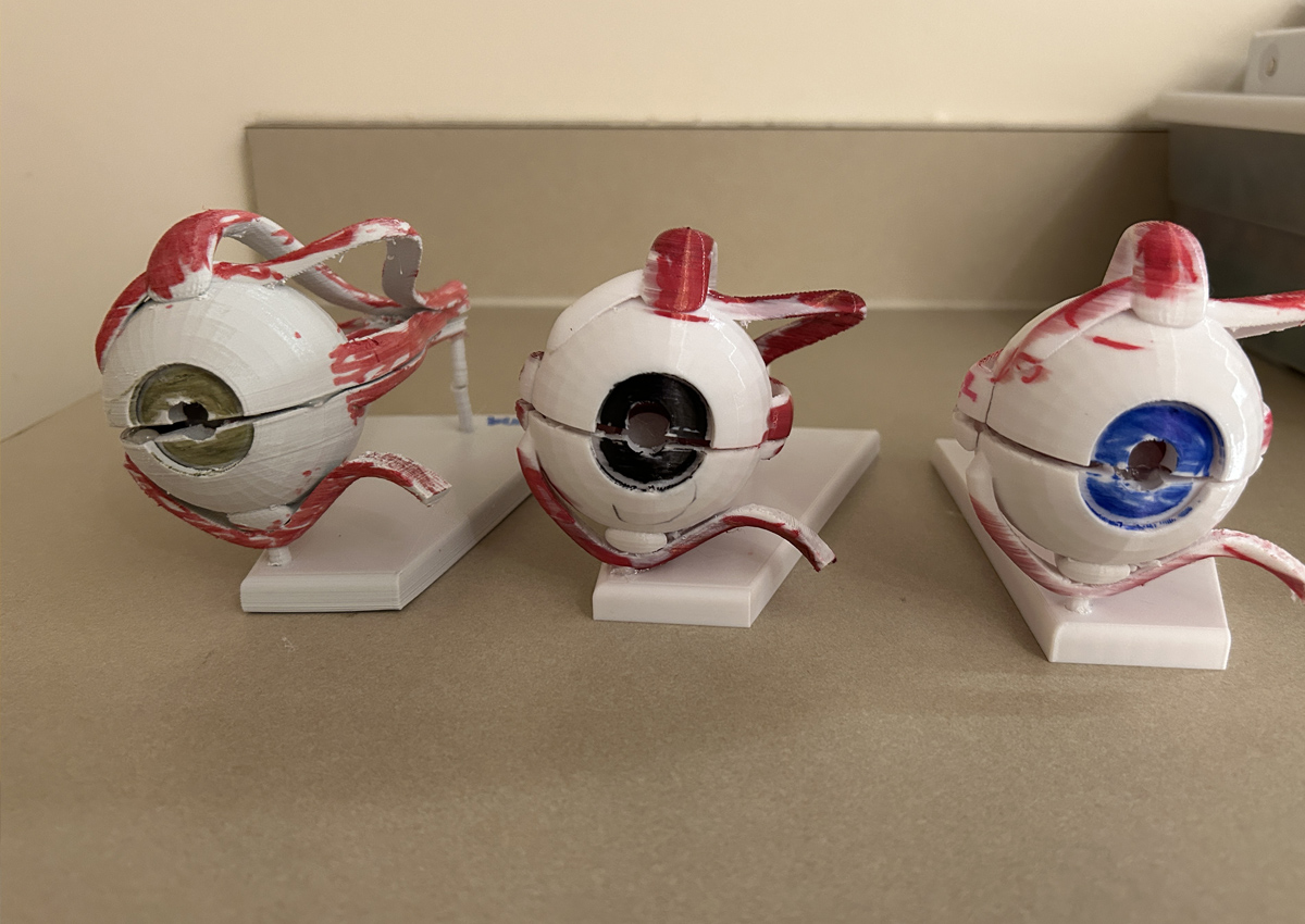 Three assembled eyes made out of 3D models colored in with marker.