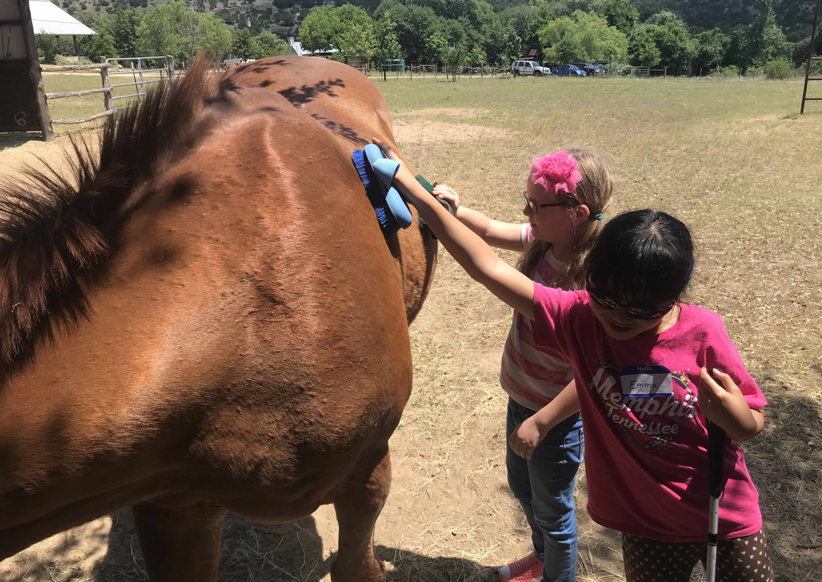 Students brushing a horse