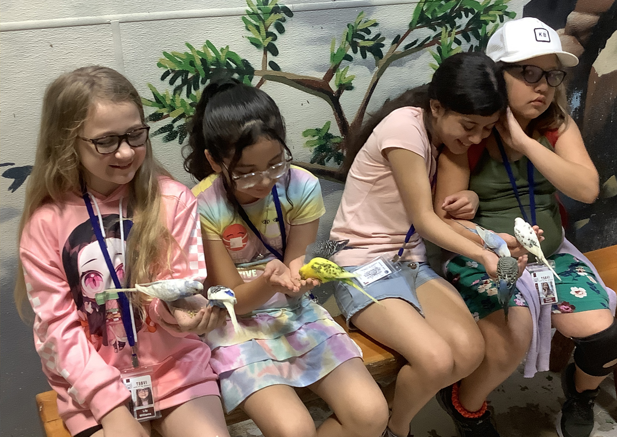 Four adolescents sit on a bench indoors with parakeets on their hands held palm-up.