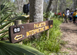A park sign reading “Palmetto Interpretive Trail” with arrows and a QR code Photo credit: Courtesy Maegan Lanham, TPWD