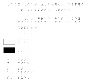 Screen Shot of a Braille Transcriber's Note Section Document.