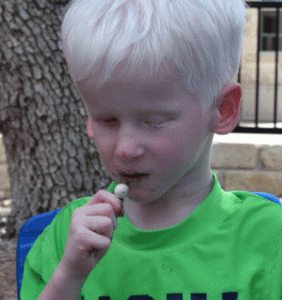 Photo of a boy eating pieces cake components