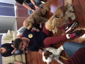 Tanya sits on the floor and touches three therapy dogs