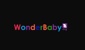 The words “WonderBaby.org” in multicolored block letters. A small white bird on a purple background is above “org.”