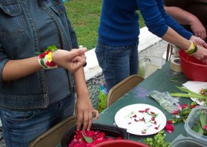 A student tactually explores a container of rose petals.