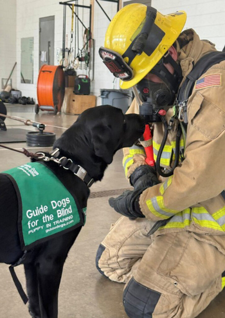 Un bombero se arrodilla frente a un perro guía.