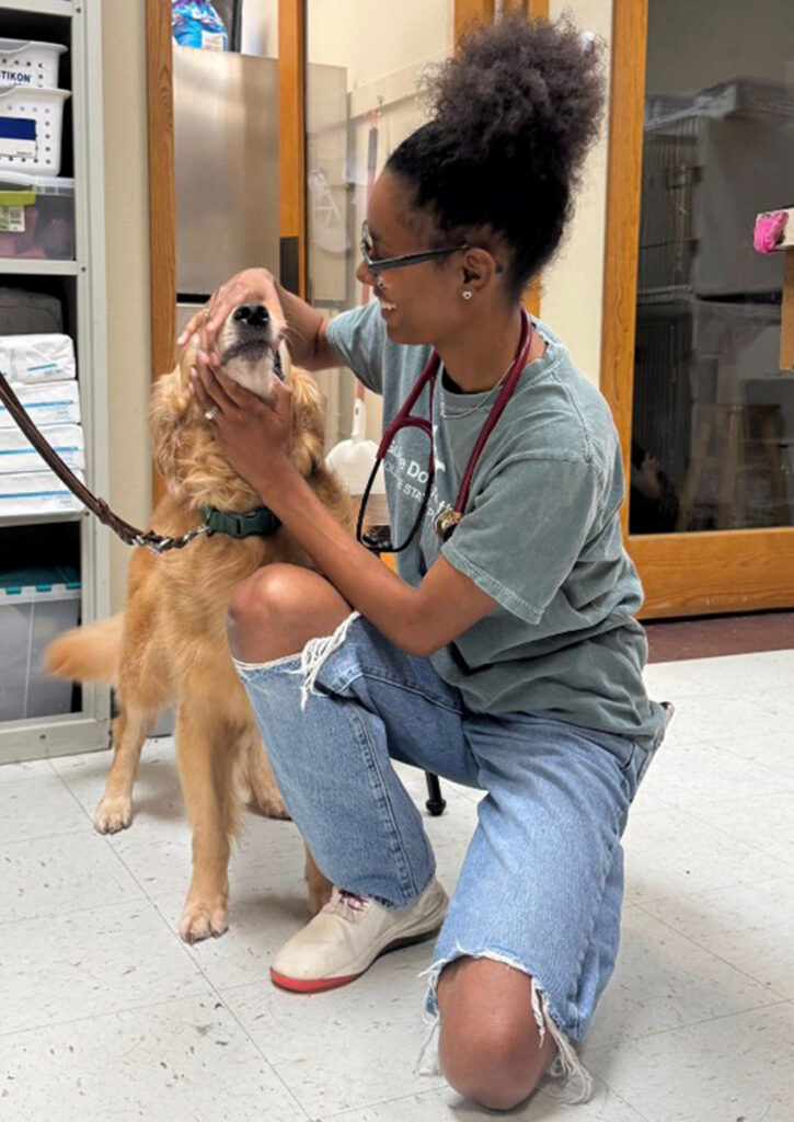 A woman kneels next to a dog and holds the dog’s mouth with both hands.